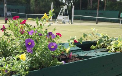 Neue Blumen schmücken die Plätze